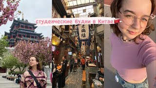 Будни студента в Китае🇨🇳 | март-апрель | Xi’an | 西安