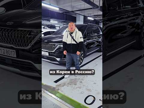 Сколько Стоит Привезти