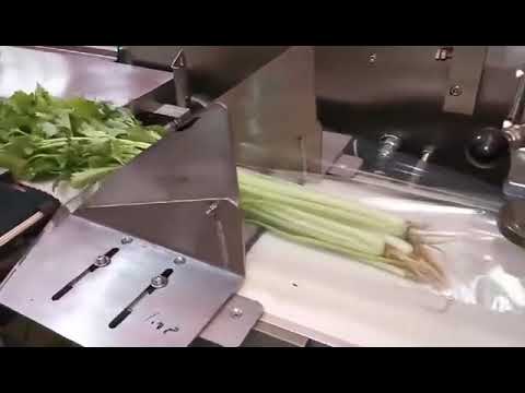 ბოსტნეულის შესაფუთი დანადგარი • Vegetables Packaging Machine