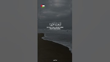 الحمد لله الذي بنعمته تتم الصالحات 🇵🇸🍉#قرآن #اكسبلور #تلاوة_خاشعة #islamic #المصحف #فلسطين #غزة #fyp