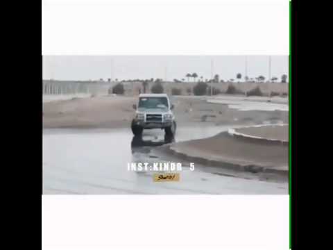 الشاص على الدوار
