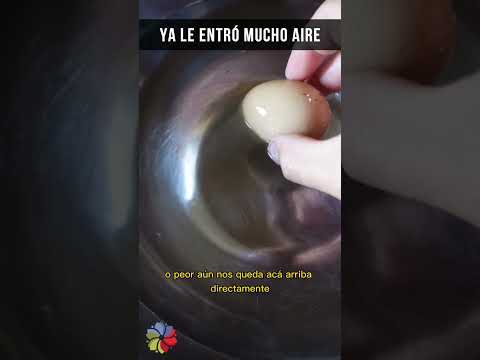 ¿El huevo está