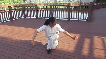 Wudang TaiYi WuXing Quan 太乙五行拳