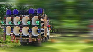 Download Lagu #DJDPKMUSICSOUND 2025/3CHA(DJPUKYAWREMIX) MP3