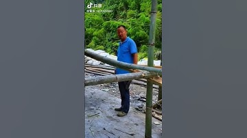 easy way to split bamboo in farm #bamboo #shorts #reels