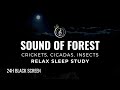 Sound of forest crickets cicadas insects  24h nature sound for sleep meditation  focus 