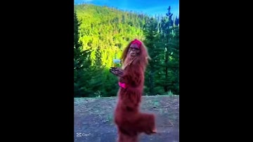 Don’t cheat use ur last video with this template😚😚