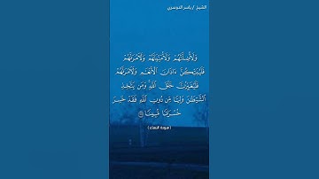 سورة النساء ( ١١٩ - ١٢١) / ياسر الدوسري