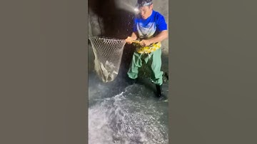 Cá Lớn - vợt đàn Cá Rô Phi phía dưới cửa xả lũ 😱 #khacthuyvlogg