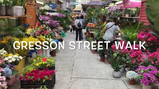 Gresson Street Walk / Flower Market/ Wan Chai / Hong Kong