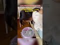 21岁女子因痛经去医院结果生了个娃，医生：停经超过1 2个周期就要排查是否怀孕
