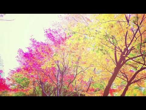 ガーネットby奥華子/ピアノ弾き語りcover