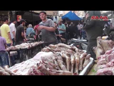 محمد عبد المطلب رمضان جانا