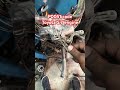 Toyota tundra 5.7 engine p0051 scan code easy fix #automobile #industrialelectrician #offroad