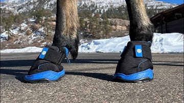 Introducing the Easyboot Rx2