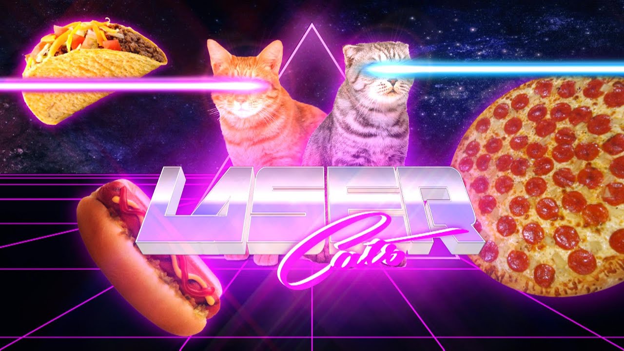 Обои на пк с котом мем