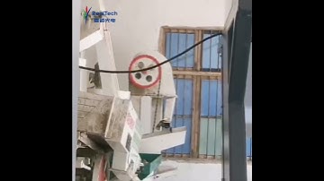 Single chute rice color sorting machine