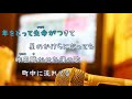 星のラブレター / THE BOOM [女性キー+3 オフボSPC](offvocal 歌詞あり ガイドメロディーなし)