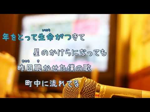 星のラブレター / THE BOOM　[女性キー+３　オフボSPC](offvocal　歌詞あり ガイドメロディーなし)