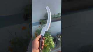 Egyptian Price 4500 Available