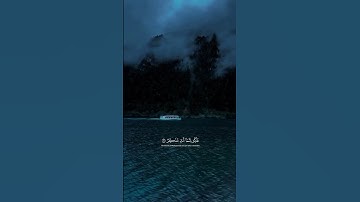 فذكر إنما أنت مذكر – بصوت القارئ عبدالرحمن مسعد | سورة الغاشية#عبدالرحمن_مسعد#اكسبلور#quran#هدوء