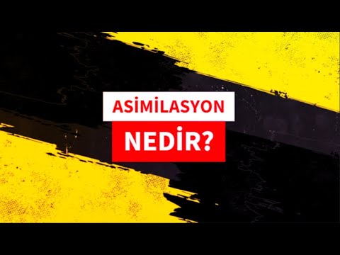 Asimilasyon Nedir ?