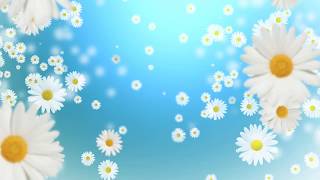 Falling Daisies HD# Начало Фильма#Красивый фон для видео