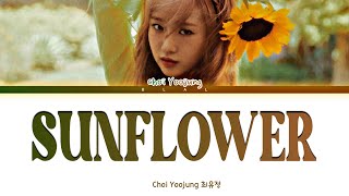 CHOI YOOJUNG 'SUNFLOWER (P.E.L)' Lyrics (최유정 Sunflower 가사) (Color Coded Lyrics)