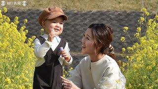 3歳児の退院祝う菜の花　白血病闘病1年　親子の「小さな幸せ」