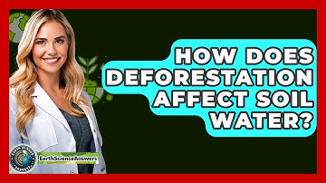 How Does Deforestation Affect Soil Water? - Earth Science Answers