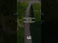 أ و لم ي ر و ا إ لى ال أ ر ض كم أنب ت ن ا ف يه ا من كل ز و ج ك ر يم  سورة الشعراء