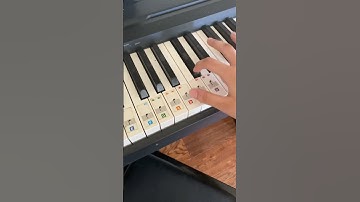 this key on my piano does not work for some reason #digestivehealth #automobile #satisfying