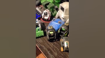 Who has a busted screen on their Vector??