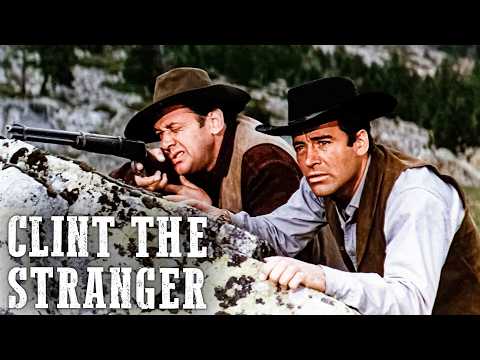 The Stranger still