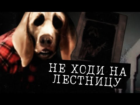 СОБАЧИЙ КОШМАР ИЗ ДЕТСТВА | Dog Nightmares