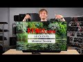 LG CX 48” OLED Monitor Review (2020) - The ultimate large format gaming monitor?