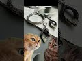 Я нашла идеальный подарок, точнее создала его - это украшения ручной работы😍#браслет#серьгиизбисера