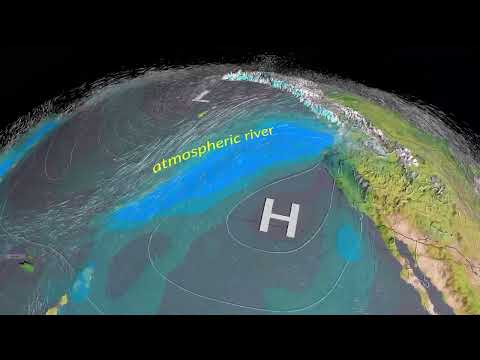 A 3D View of an Atmospheric River from an Earth System Model