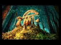 Infected mushroom  the french ytp version