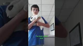 how to hold a rabbit (properly)