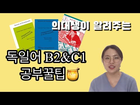 방법은 내가 알려줄게, 공부는 누가 할래? (🇩🇪독일어B2&C1공부꿀팁!)