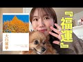 大白蓮華🍁12月号🍁『福運を積む』