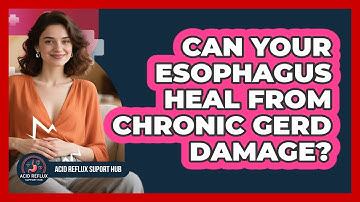 Can Your Esophagus Heal From Chronic GERD Damage? - Acid Reflux Support Hub