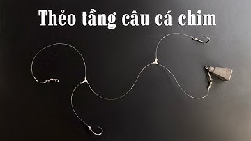 FISHING . HƯỚNG DẪN  BUỘC THẺO TẦNG CÂU CÁ CHIM .