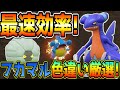 最速！フカマル・ガバイト・コモルー色違い厳選方法！【ポケモンSV】
