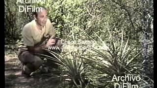 DiFilm - Chaco Salteño (1987)