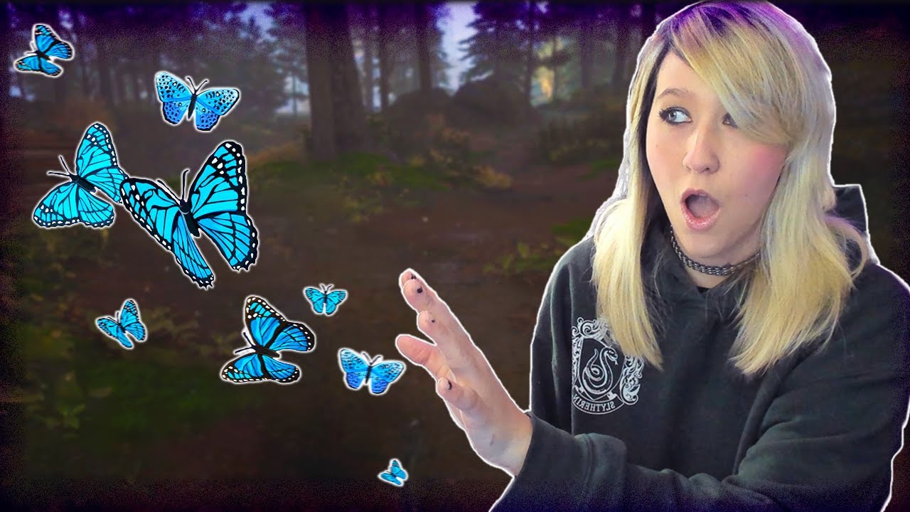 Following the butterflies into the Forbidden Forest Hogwarts Legacy