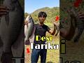 तो आज 🎣 मछली ने भी केह दिया galt बन्दे से टकरा गई मैं 😱 | #minivlog #fishing #bigfish #fishinglife