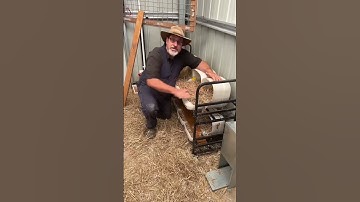 Chicken Nest Boxes 🐓 #raisingchickens #chickensofyoutube #farmtips #backyardchickens