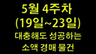 5월 4주차 (5월19일~5월23일) 소액 경매 물건